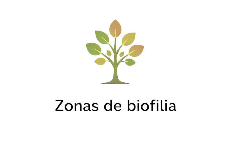 Zonas biofílicas para negocios en Barcelona con diseño visual inspirado en la naturaleza